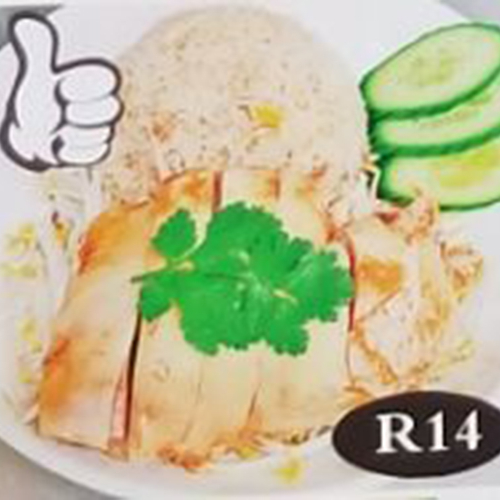 DI R14 Hainanese Chicken with Rice 海南鸡饭