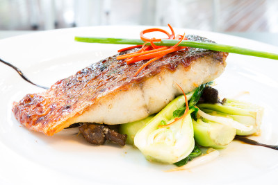 barramundi-2