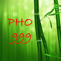 pho-999-greensborough